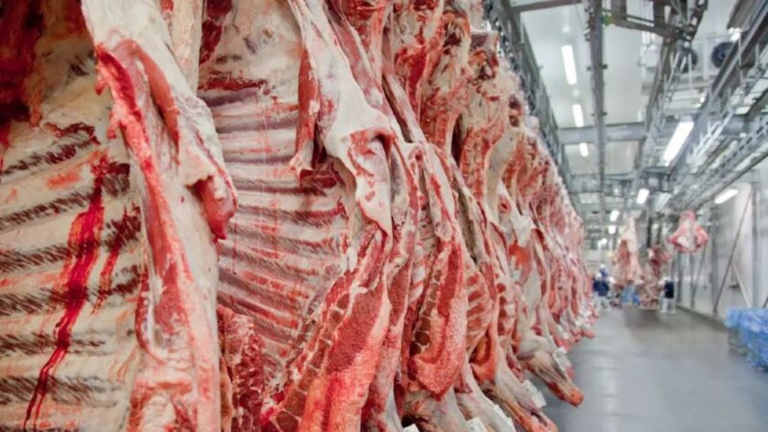 Brasil bate recorde de exporta&ccedil;&atilde;o de carne bovina em julho