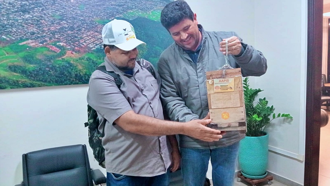 Sidrol&acirc;ndia ter&aacute; melipon&aacute;rio de abelhas sem ferr&atilde;o no Parque Recreativo Vacaria