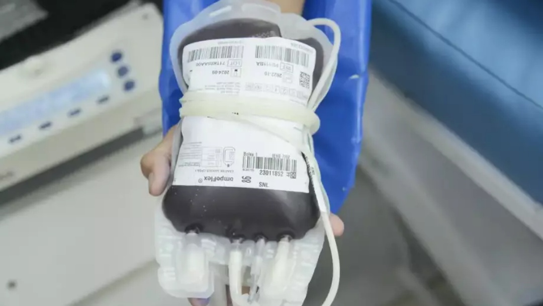 STF confirma direito de recusar transfus&atilde;o de sangue por religi&atilde;o   