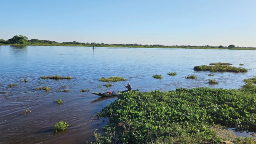 Pantanal tem menor n&uacute;mero de focos de calor e &aacute;rea queimada em quase 30 anos   