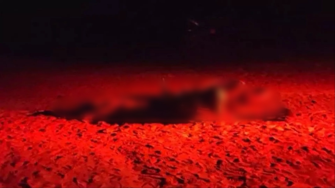 Adolescente de 14 anos morre após acidente em estrada de assentamento de MS