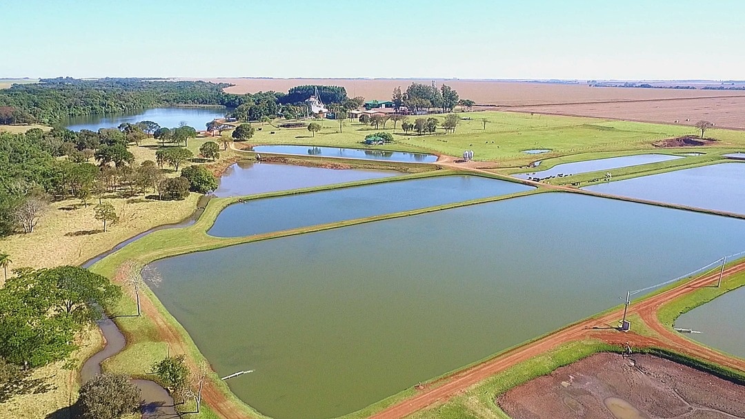 Abertura nacional do plantio de soja ser&aacute; dia 3 de outubro na Fazenda Recanto em Sidrol&acirc;ndia