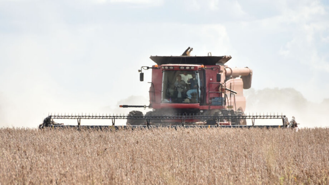 Ap&oacute;s recorde, produtor planeja safra de gr&atilde;os sob &#039;efeito Trump&#039;   