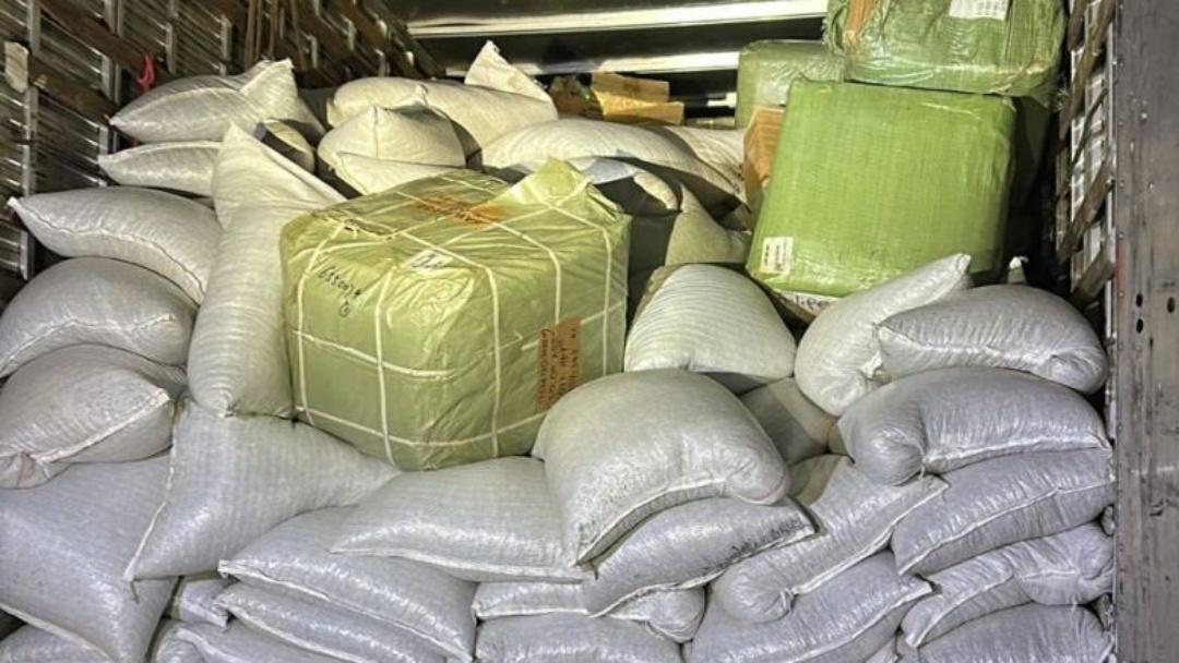 Operação apreende carga de 'muamba' em meio a sementes de girassol