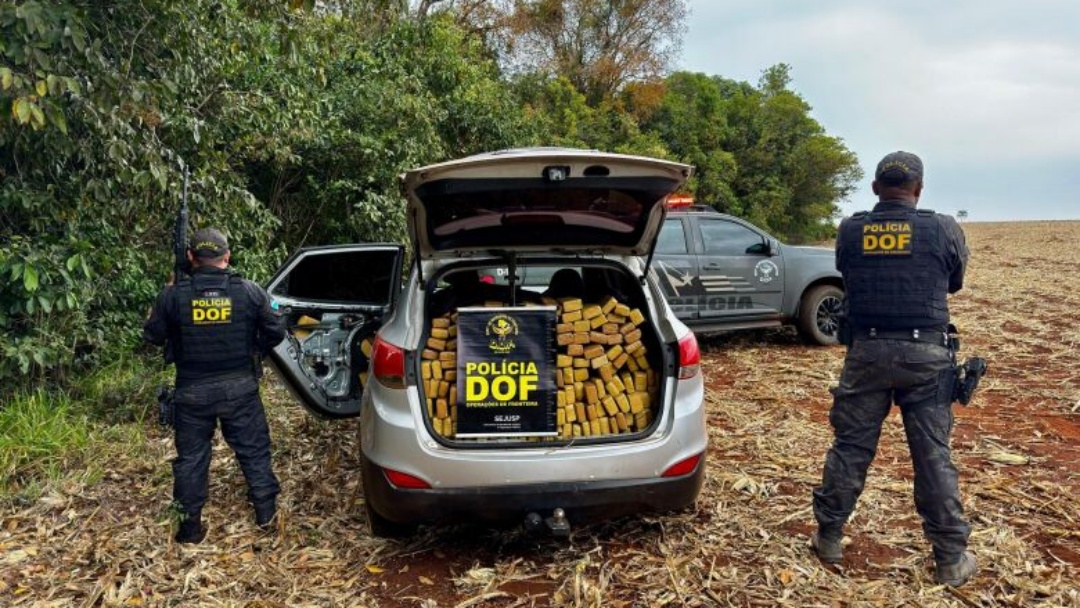 Persegui&ccedil;&atilde;o termina com quase 1t de maconha apreendida
