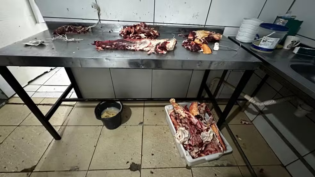 Empres&aacute;ria &eacute; presa por vender carne podre, e a&ccedil;ougue &eacute; interditado em Campo Grande