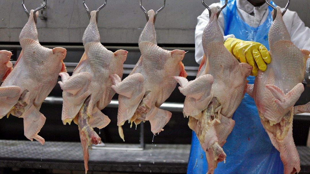 Gera&ccedil;&atilde;o de emprego desacelera em Sidrol&acirc;ndia em 2025 ap&oacute;s pico de contrata&ccedil;&otilde;es com a Inpasa