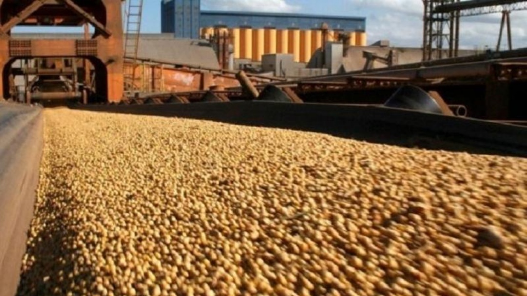 Com demanda enfraquecida, neg&oacute;cios da soja perdem ritmo