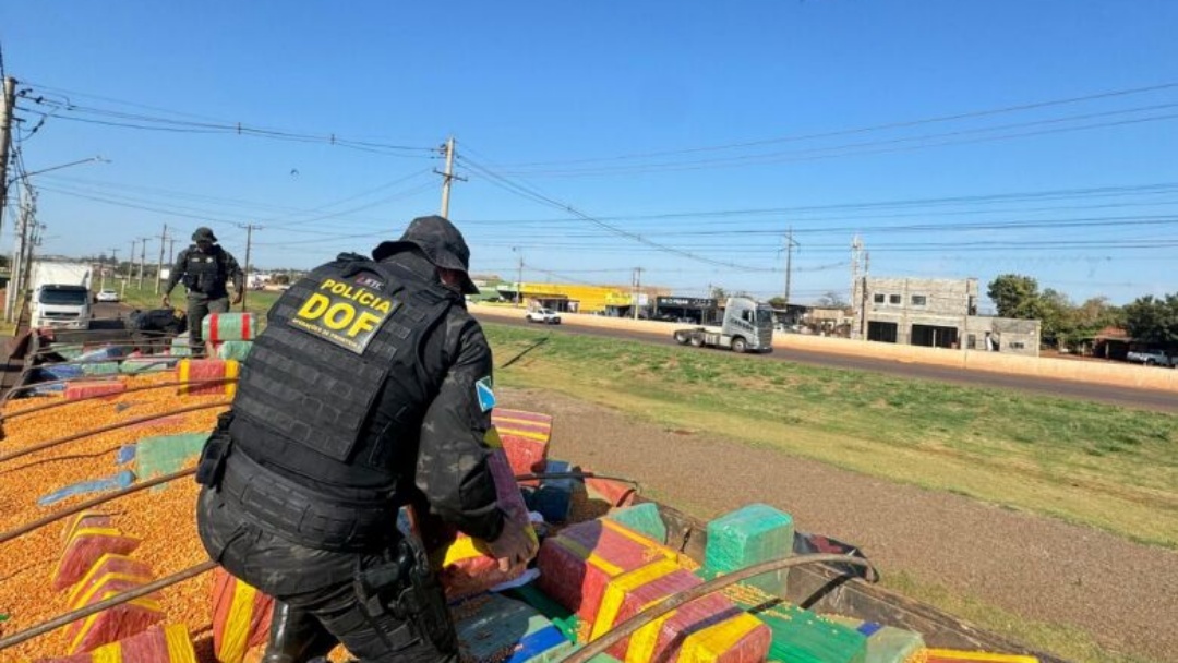 Em oito meses, DOF aumenta mais de 60% a quantidade de drogas apreendidas