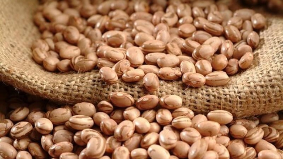 Feij&atilde;o carioca se mant&eacute;m firme e feij&atilde;o preto sofre press&atilde;o 