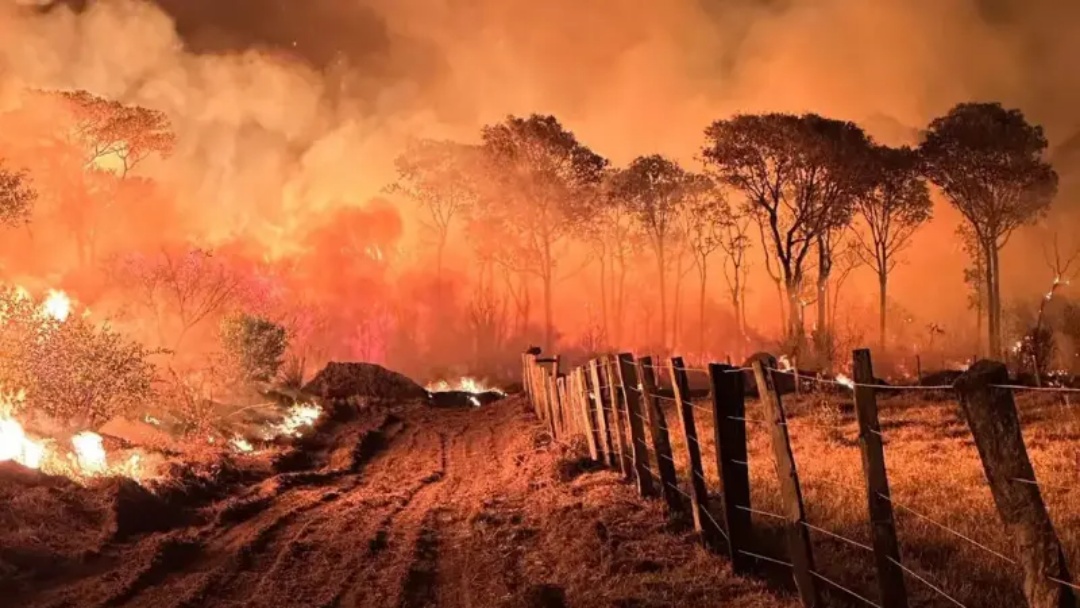 Pantanal tem alerta de queimada para os pr&oacute;ximos dias 