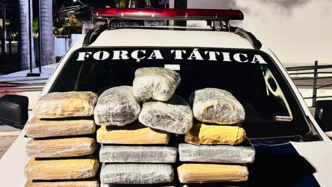 Dois s&atilde;o presos com mala &lsquo;recheada&rsquo; de maconha em &ocirc;nibus de Lad&aacute;rio