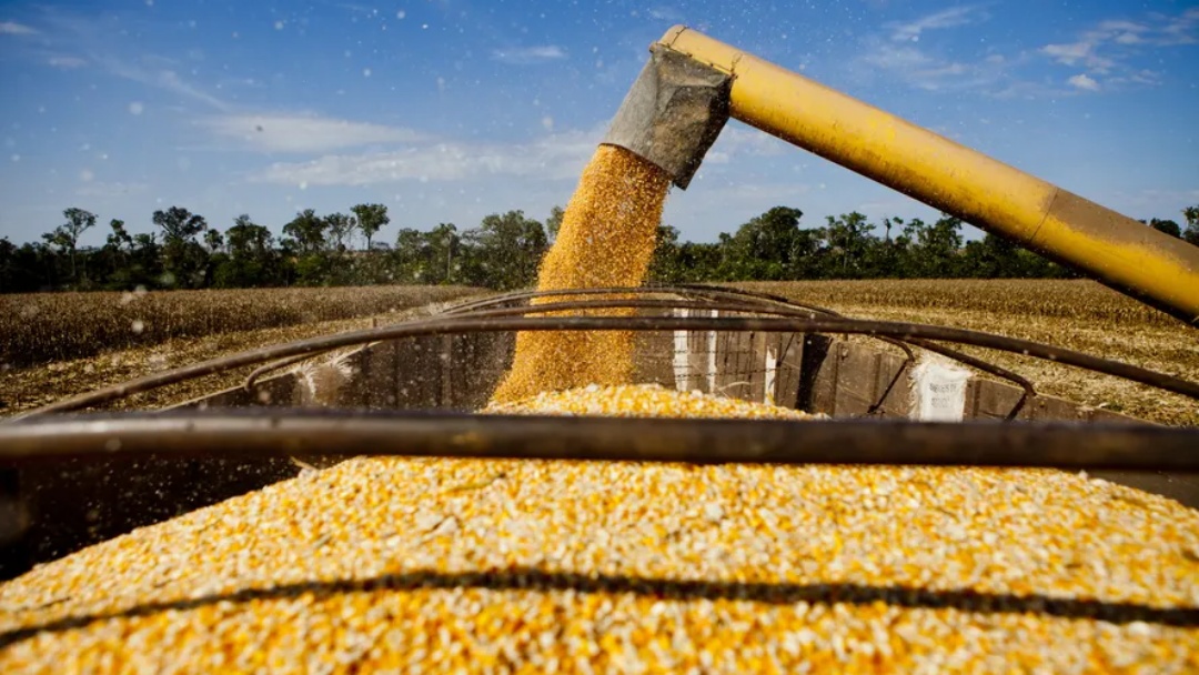 IBGE mostra queda in&eacute;dita no valor da produ&ccedil;&atilde;o agr&iacute;cola de Mato Grosso do Sul