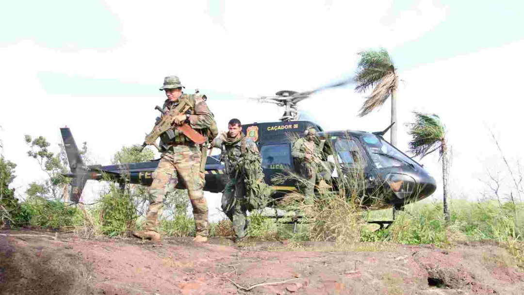 Com ajuda do Brasil, opera&ccedil;&atilde;o em ro&ccedil;as paraguaias amplia an&aacute;lise qu&iacute;mica da maconha