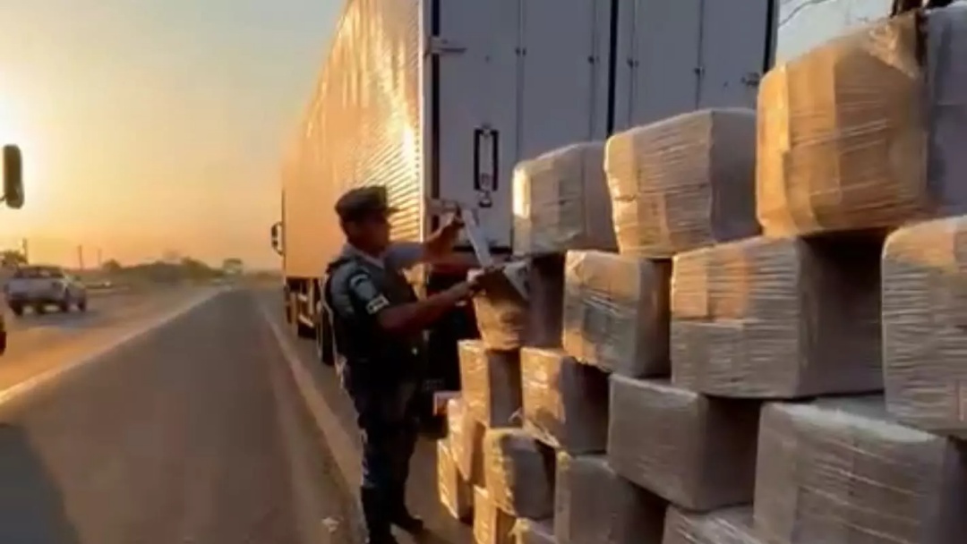 Maconha que saiu de Dourados e estava escondida entre frangos congelados &eacute; aprendida em SP