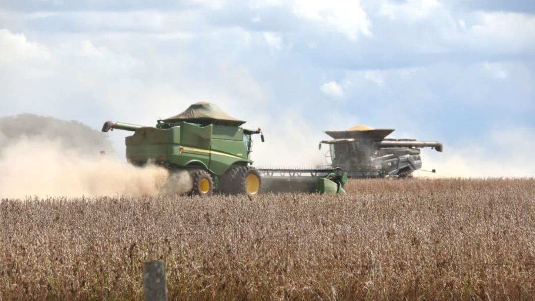 Mato Grosso do Sul projeta uma nova supersafra de soja no ciclo 2025-2026   