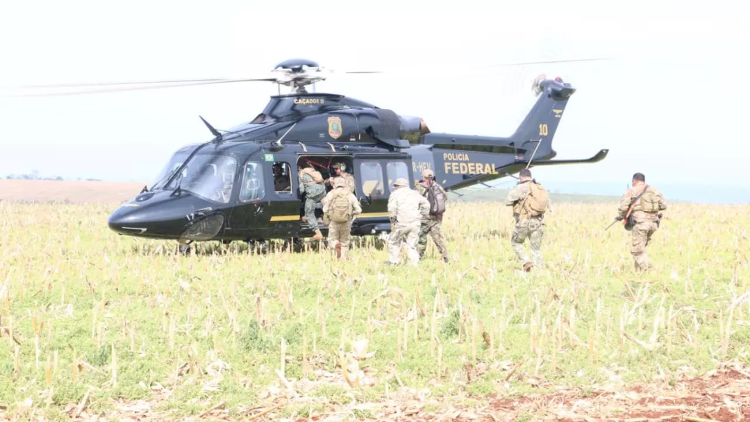 &lsquo;Nueva Alianza&rsquo; elimina mais de 100 toneladas de maconha na fronteira com MS