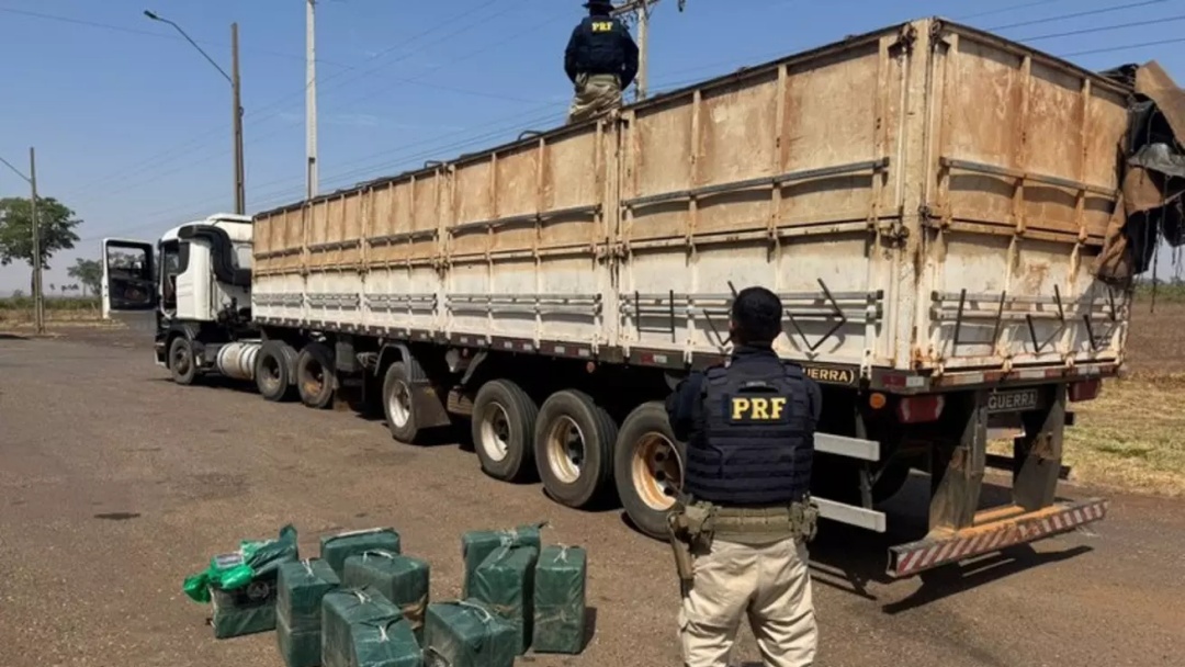 329 kg de coca&iacute;na em carga de milho que seria levada a Santos &eacute; apreendida em MS