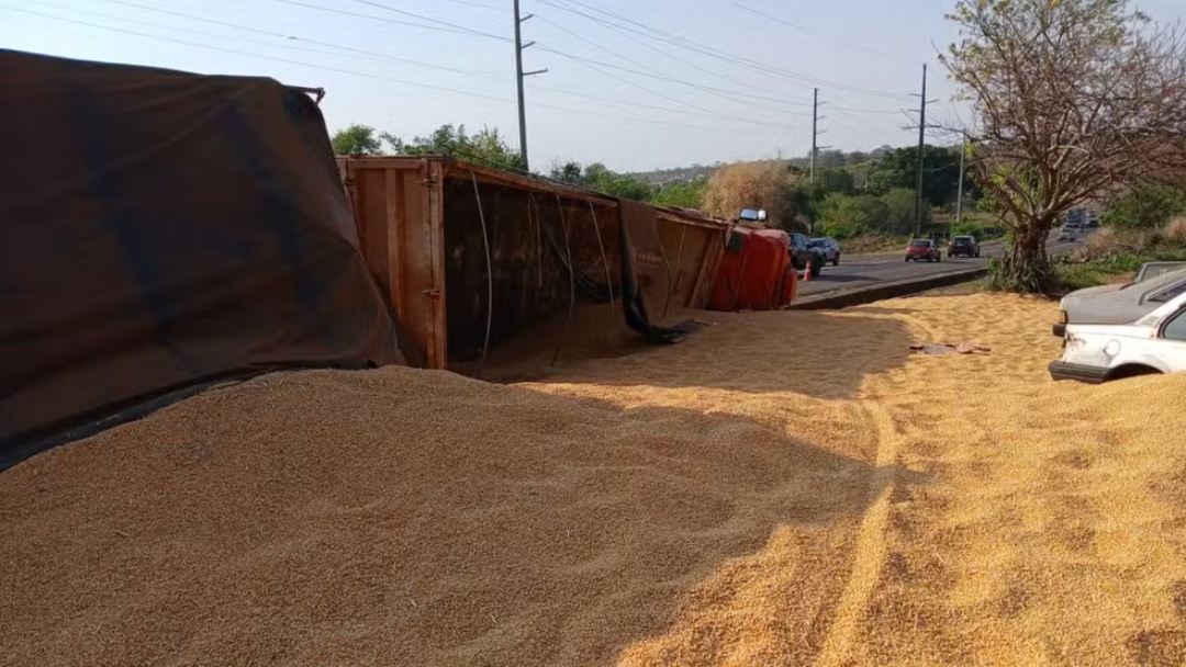 Carreta com mais de 40 toneladas de milho tomba e espalha carga na BR-163