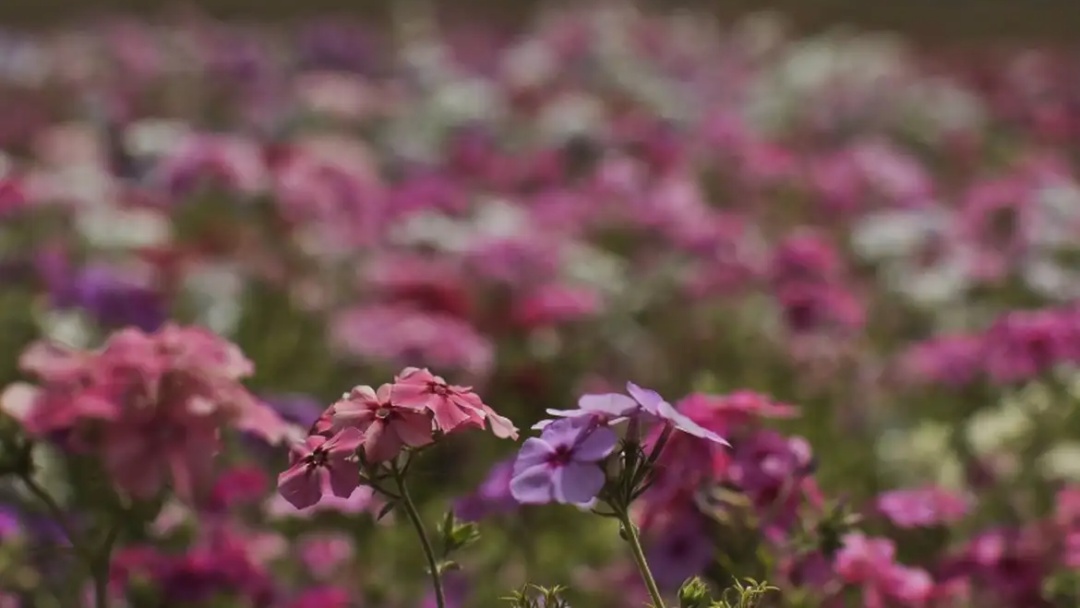 Primavera come&ccedil;a com chegada de frente fria, temporais e fortes ventos
