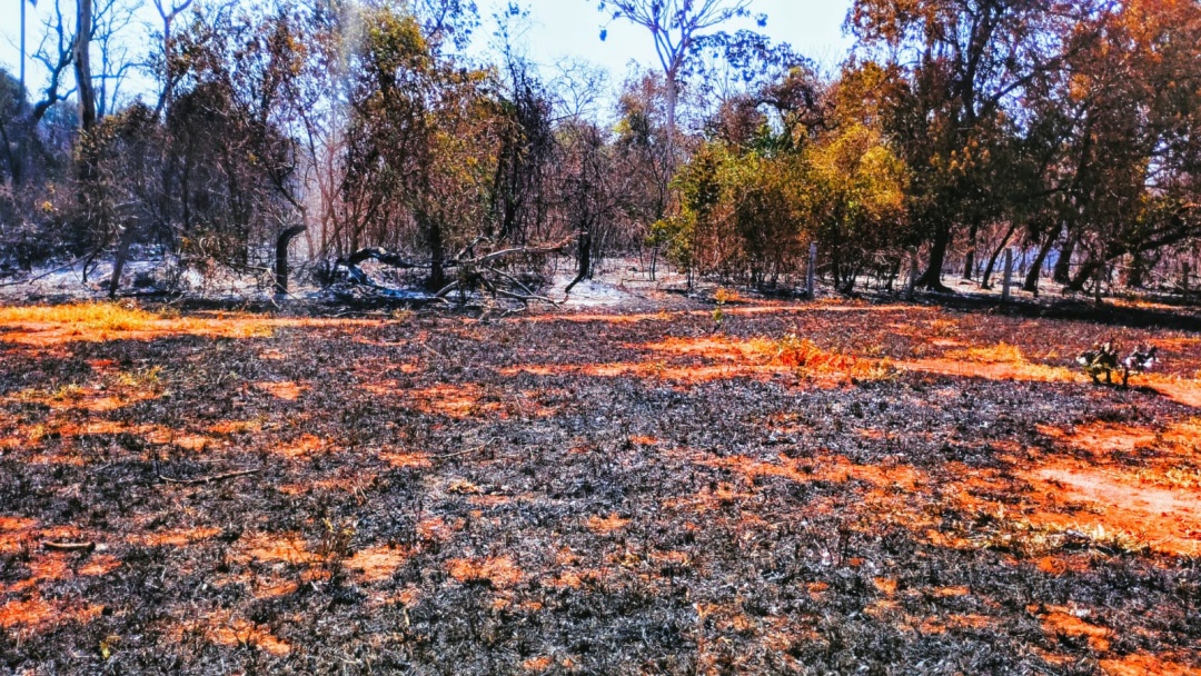 Inc&ecirc;ndio em canavial atinge assentamento Barra Nova e causa preju&iacute;zo a 10 fam&iacute;lias