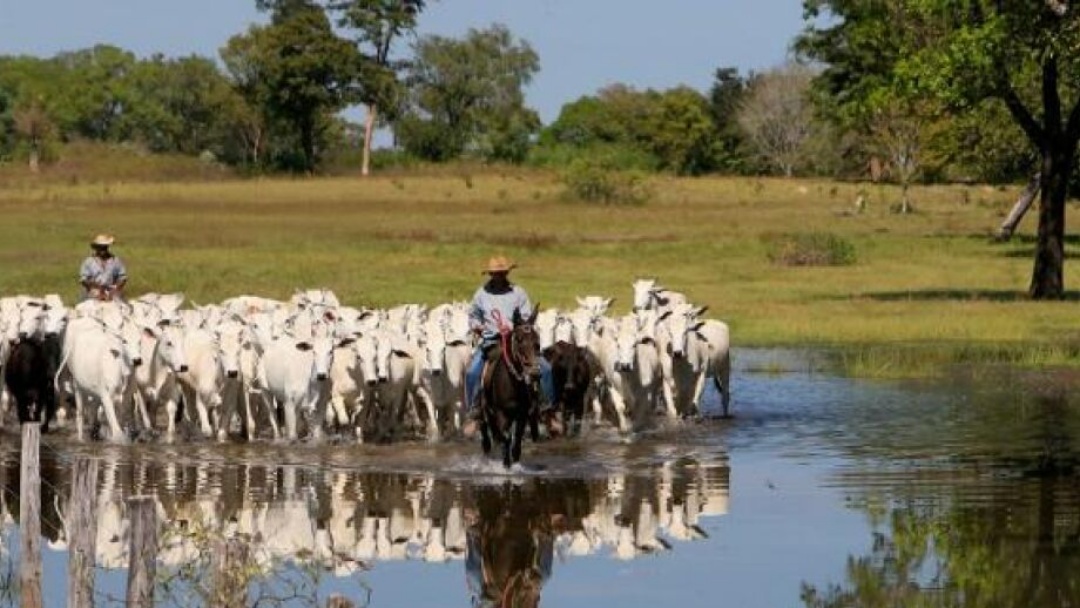 Agro quer aproveitar COP30 para captar financiamento externo   