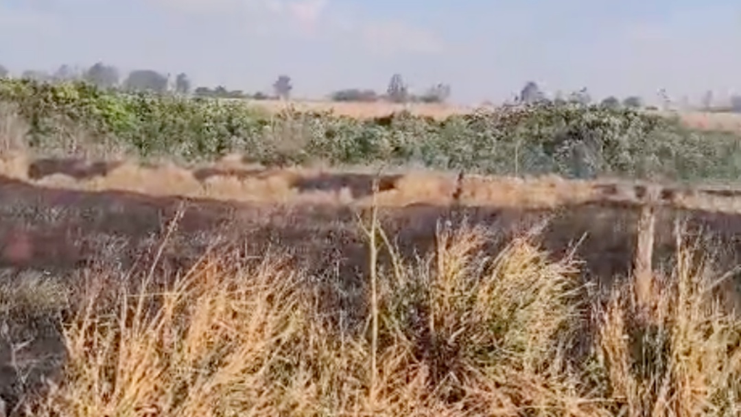 Inc&ecirc;ndio atinge pastagem da Fazenda Ponto Alto e destr&oacute;i reserva ambiental do Eldorado 2