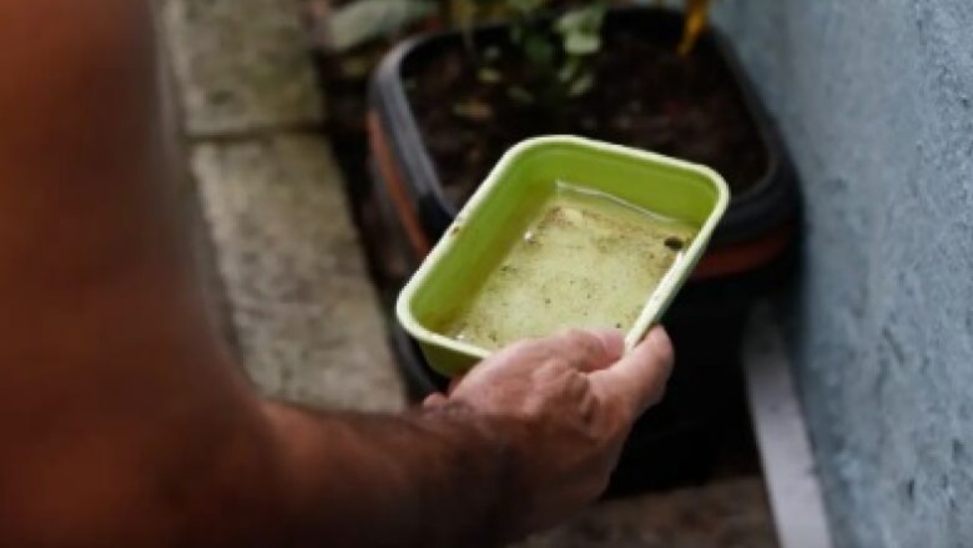 Chikungunya traz preocupa&ccedil;&otilde;es ap&oacute;s 10 anos de presen&ccedil;a no Brasil