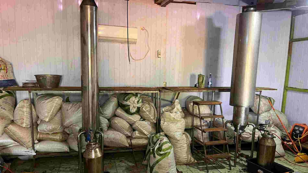 Laborat&oacute;rio de maconha 50 vezes mais viciante &eacute; fechado pela pol&iacute;cia no Paraguai