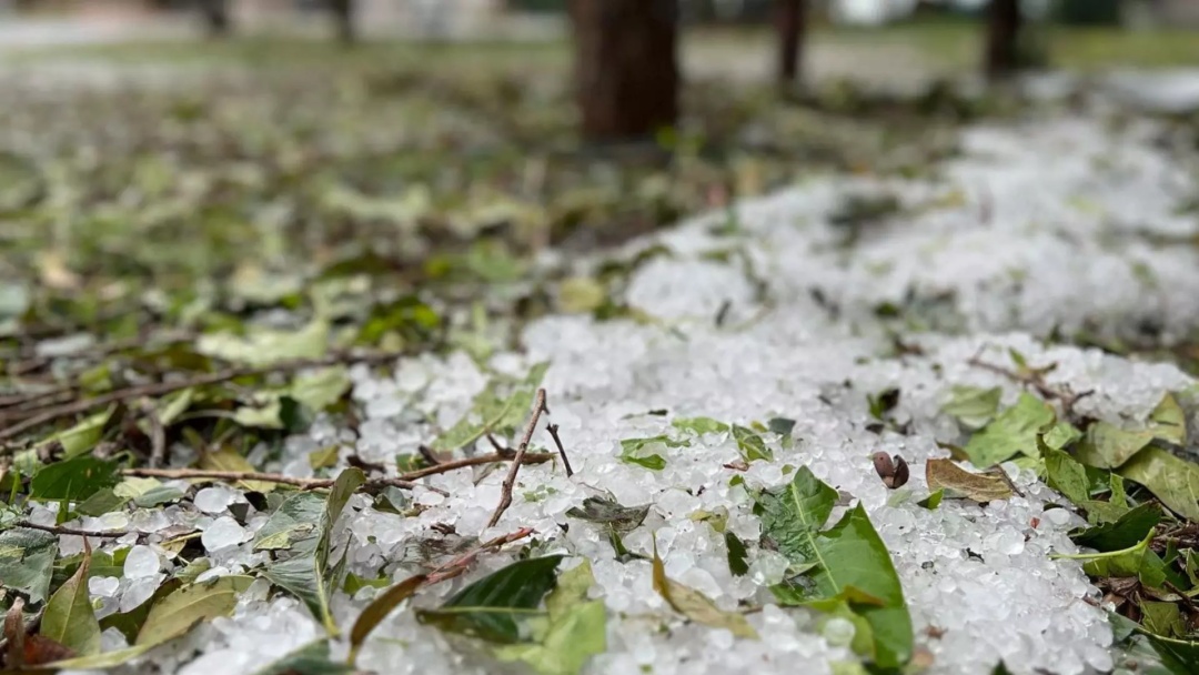 Os produtores que tiveram perdas por eventos clim&aacute;ticos j&aacute; podem acessar nova linha de cr&eacute;dito