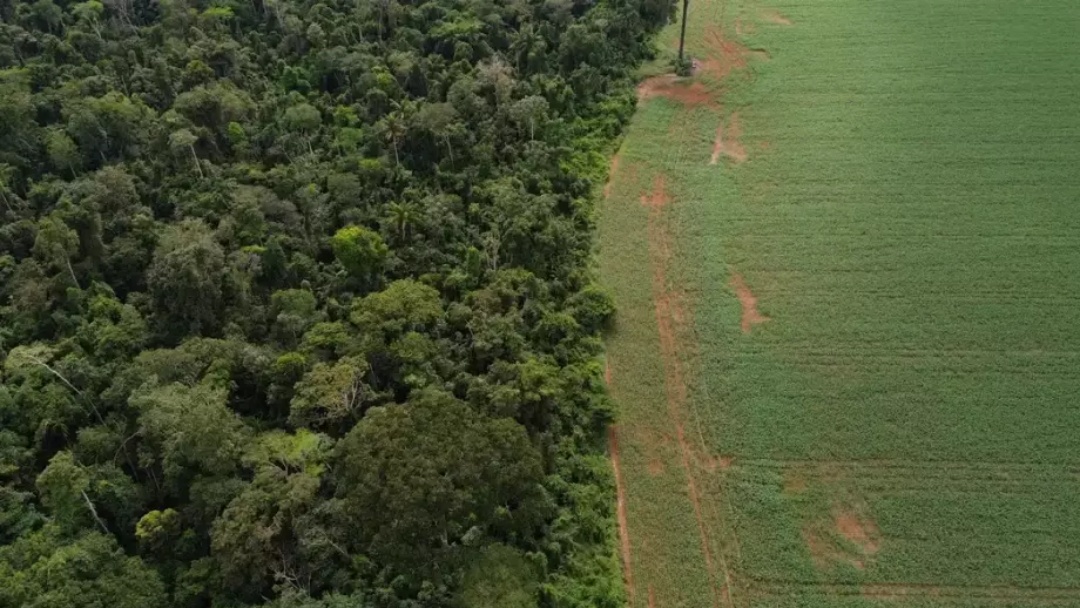 Brasil apresenta solu&ccedil;&otilde;es para financiamento clim&aacute;tico