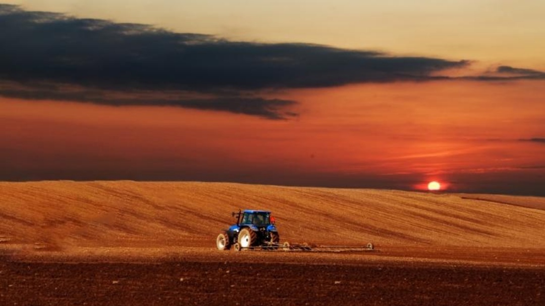 Cr&eacute;dito rural cai em julho, mas mostra sinais de recupera&ccedil;&atilde;o