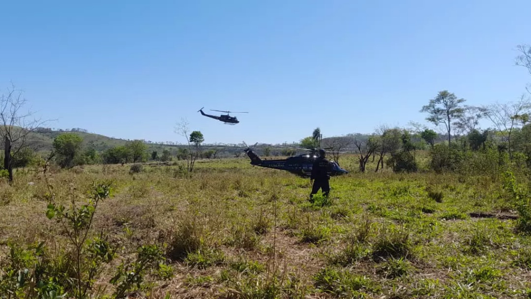 Opera&ccedil;&atilde;o em ro&ccedil;as de maconha na fronteira causa preju&iacute;zo de US$ 130 mi ao crime organizado