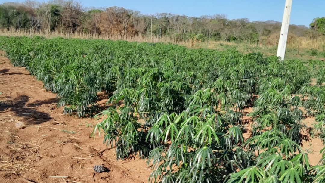 Moradores da Aldeia 10 de Maio enfrentam falta d&rsquo;&aacute;gua mesmo ap&oacute;s perfura&ccedil;&atilde;o de po&ccedil;o