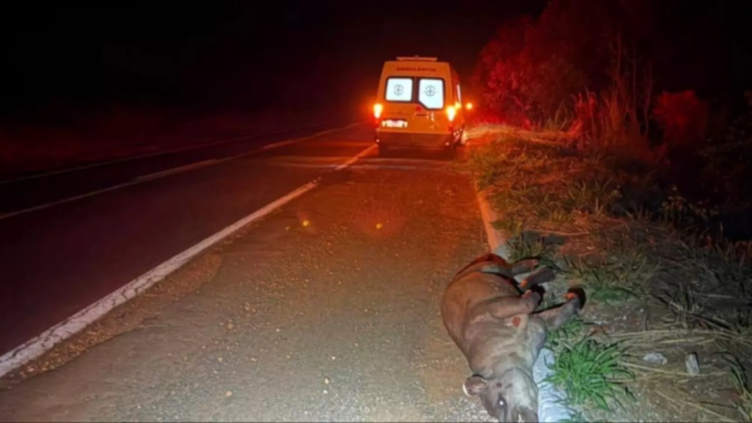 Ambul&acirc;ncia atinge anta na rodovia MS-134 e passageira fica ferida