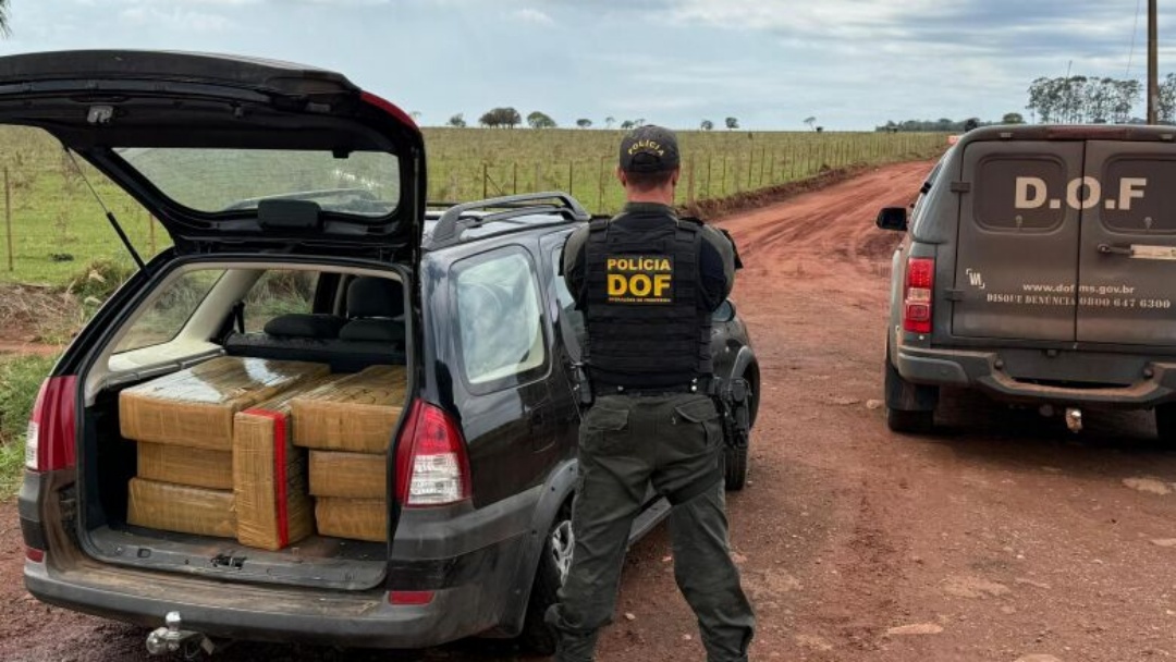 Homem &eacute; preso levando mais de 300kg de maconha para Minas