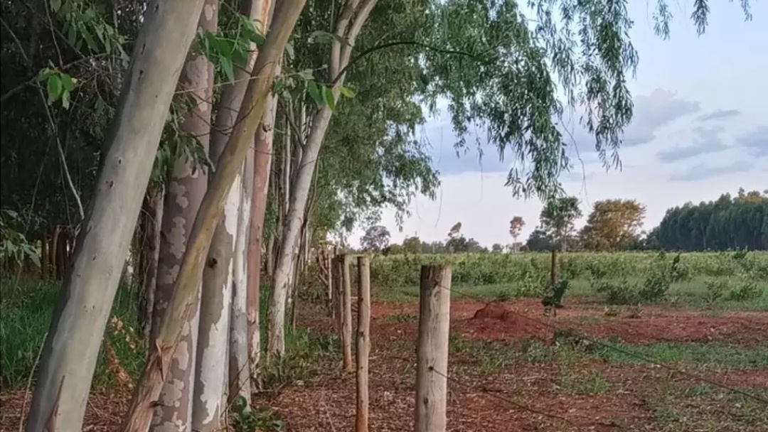 Ex-prefeito de Campo Grande &eacute; despejado de &#039;gleba&#039; por d&iacute;vida de arrendamento