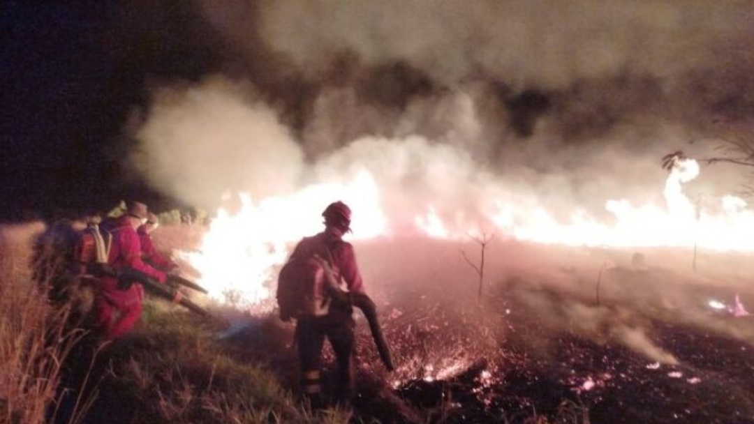 Inc&ecirc;ndio em parque estadual de MS &eacute; controlado