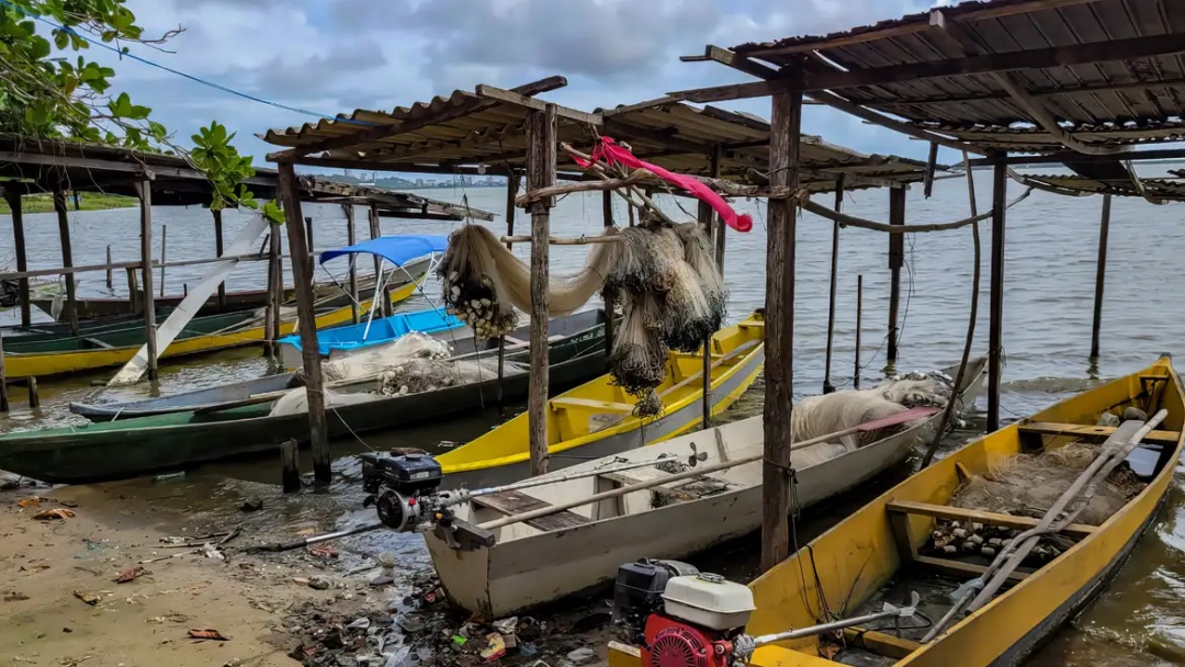 In&iacute;cio do defeso da piracema restringe pesca comercial no pa&iacute;s
