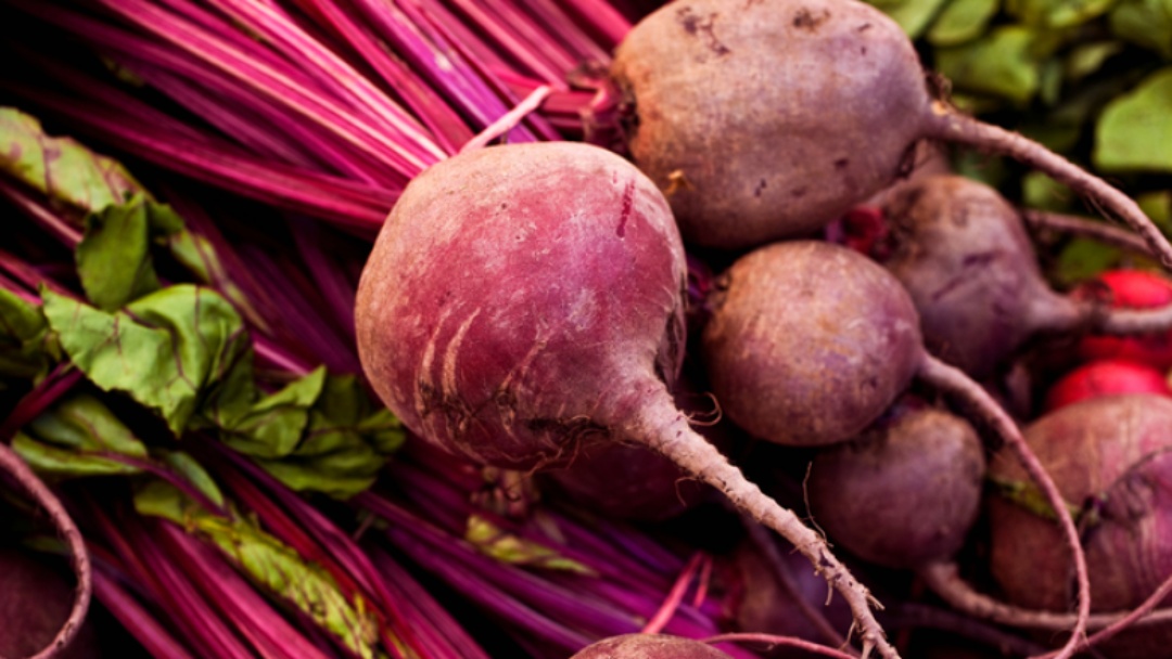 Brasil conquista abertura de mercado para sementes de beterraba na Nicarágua