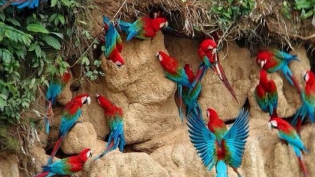 Destinos tur&iacute;sticos de MS ganham destaque em &#039;Belo Horizonte&#039;