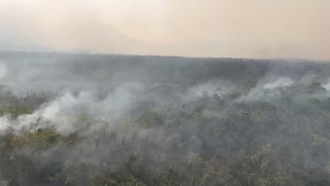 Inc&ecirc;ndio que atinge santu&aacute;rio no Pantanal j&aacute; destruiu &aacute;rea equivalente a 15 mil campos de futebol