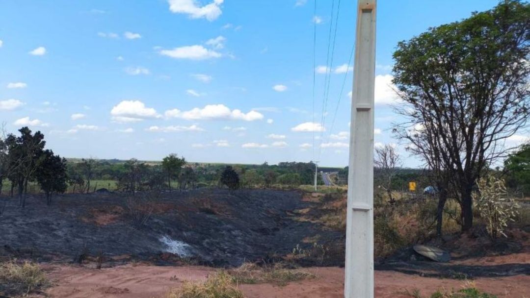 Homem é detido por atear fogo em vegetação às margens de rodovia