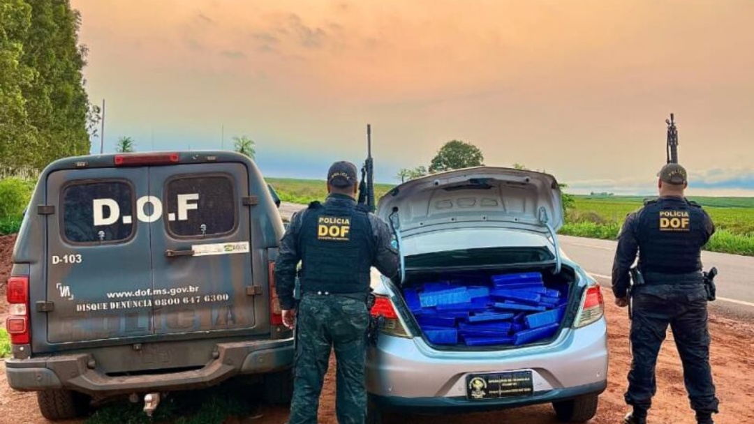 Pol&iacute;cia apreende quase meia tonelada de maconha e jovem vai preso