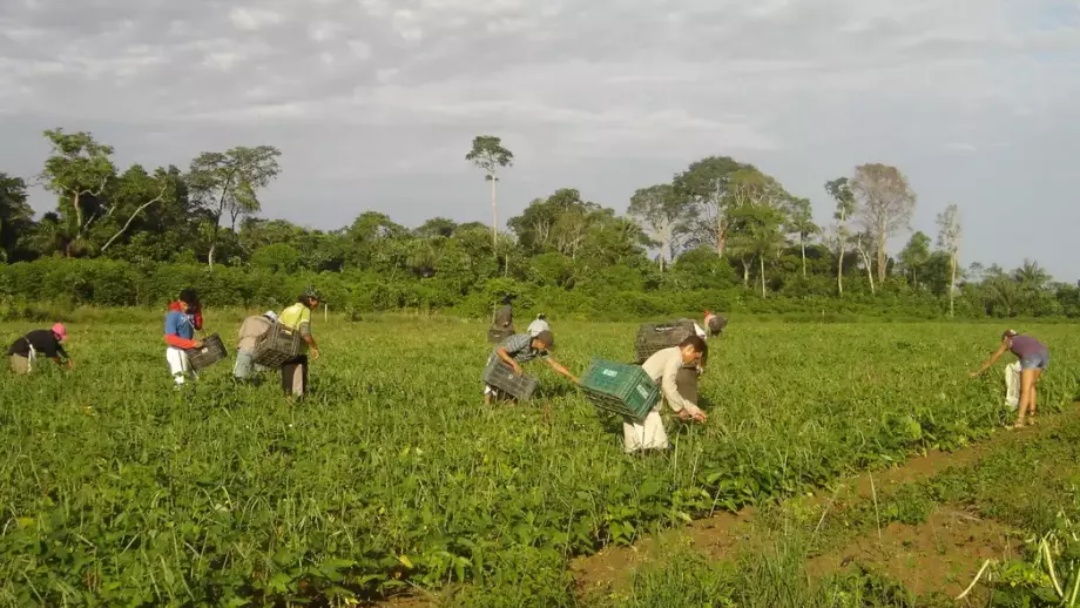 A Renegocia&ccedil;&atilde;o de d&iacute;vidas pelo o Desenrola Rural alcan&ccedil;ou R$ 11,971 bi em renegocia&ccedil;&otilde;es