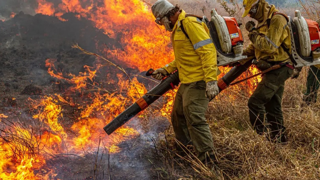 Pr&eacute;-COP: Brasil prop&otilde;e resposta global a inc&ecirc;ndios florestais