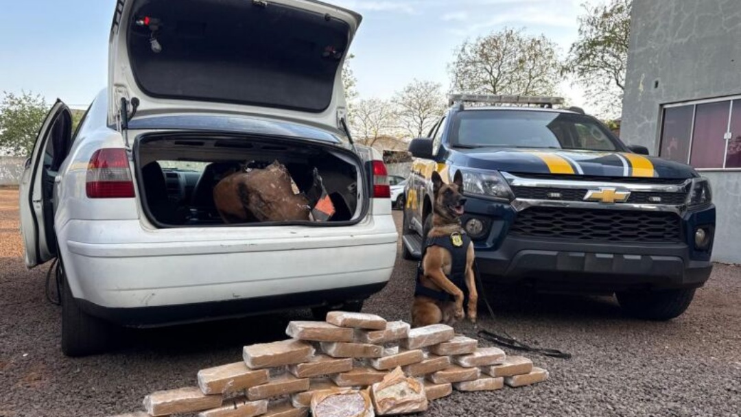 Motorista &eacute; preso com 30 tabletes de crack em Dourados