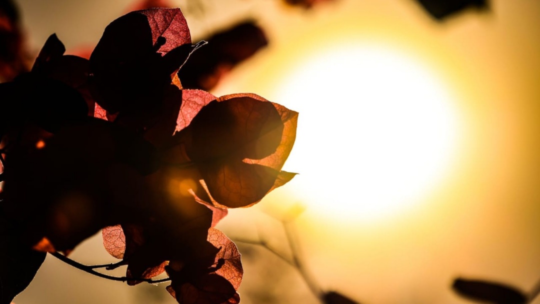 Os Term&ocirc;metros devem alcan&ccedil;ar os 39&deg;C em Mato Grosso do Sul nesta sexta-feira (17)