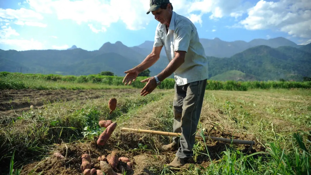 BNDES vai liberar R$ 12 bi para produtores rurais com perdas de safra