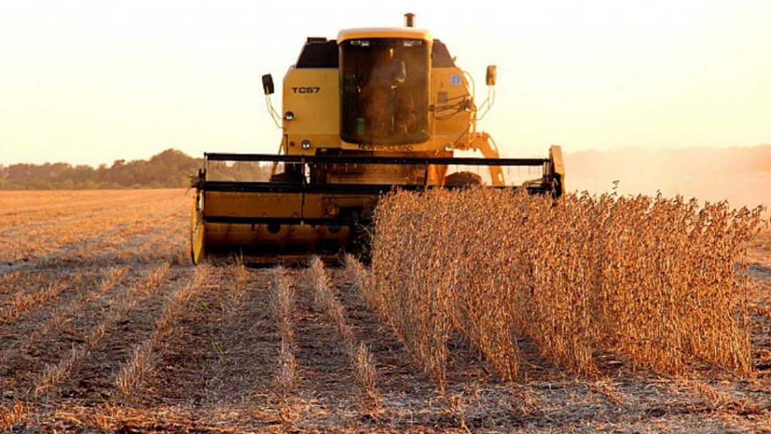 Sidrol&acirc;ndia caiu tr&ecirc;s posi&ccedil;&otilde;es e fica em 8â° lugar no ranking nacional agropecu&aacute;rio